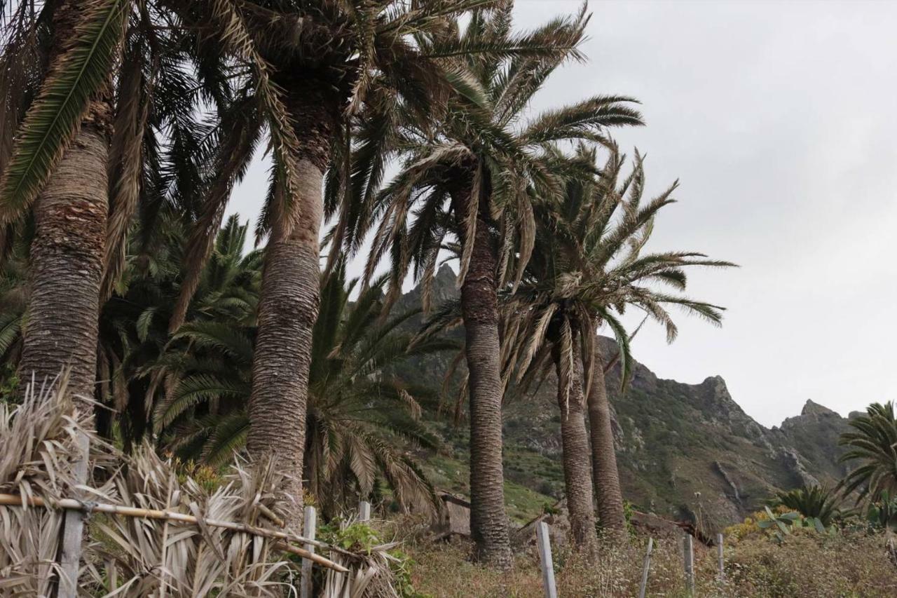 Oasis Atlántico: rincón secreto al pie de los senderos Azano Esterno foto